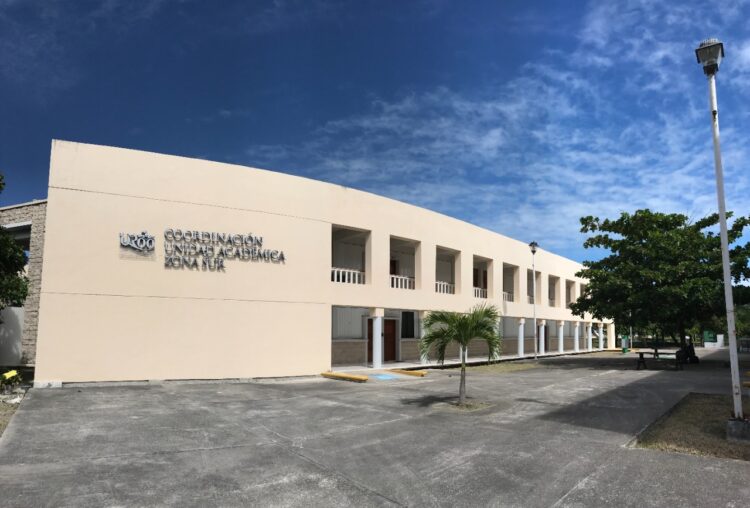 Admite UQROO a 347 aspirantes para tres licenciaturas en línea
