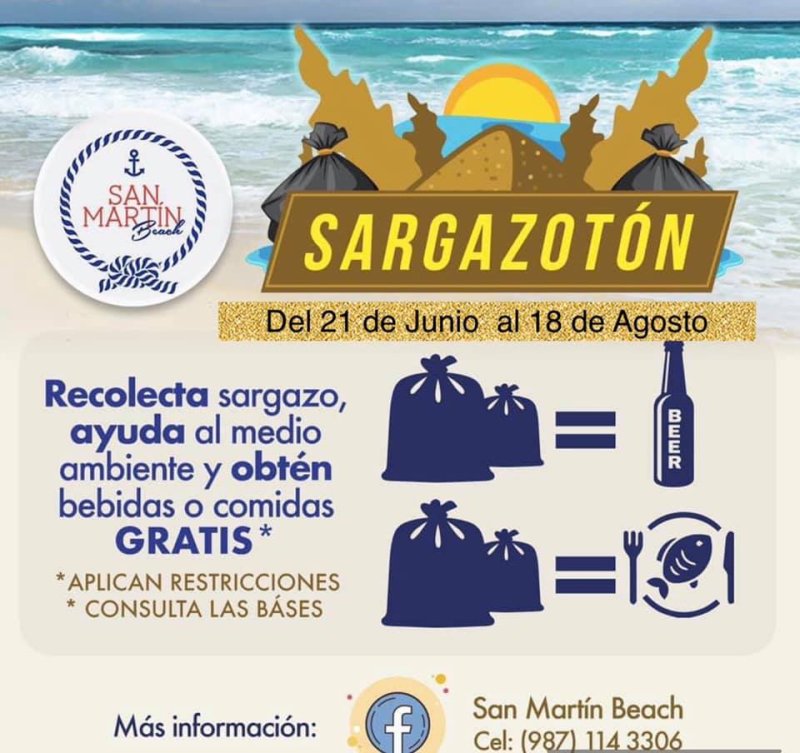 Cervezas a cambio de recolectar sargazo en Cozumel con el ‘Sargazotón’