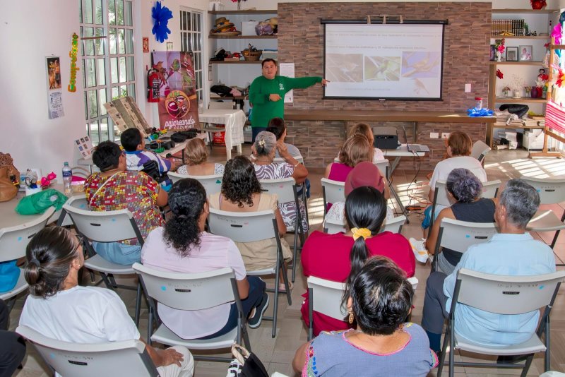 Descubren adultos mayores la riqueza de las aves de Cozumel con la FPMC