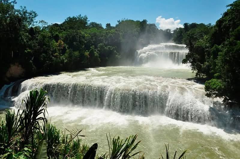 EL BOSQUE MAS MÁGICO DEL MUNDO SEGUN LA BBC ESTA EN CHIAPAS!