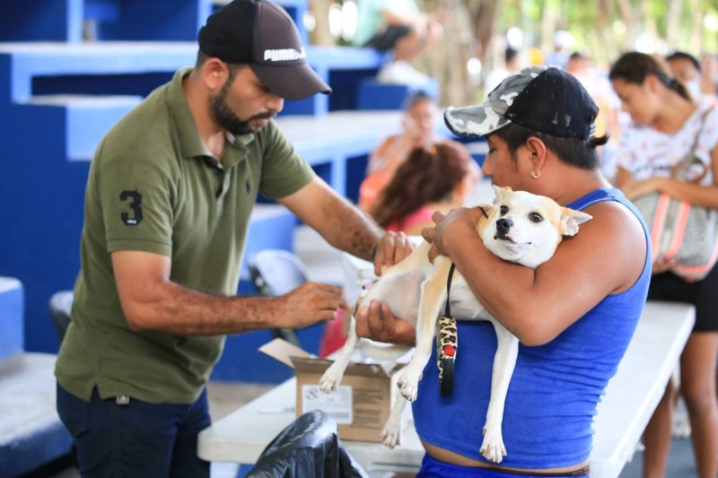 Fortalecen salud de mascotas en Solidaridad