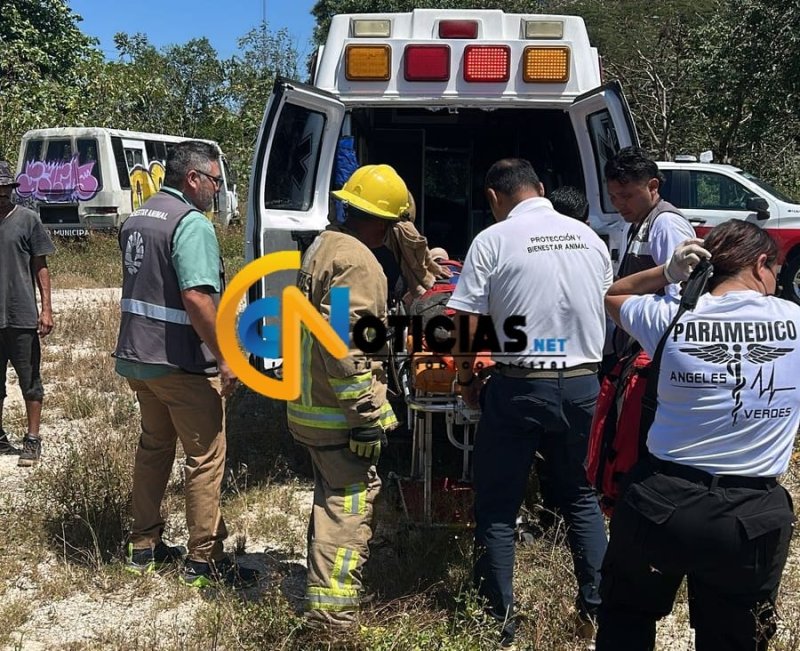 Hombre resulta electrocutado mientras intentaba robar cable en antiguo rastro municipal