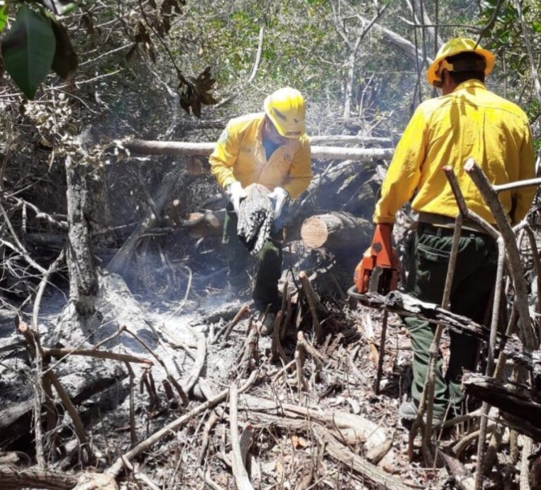 Incendio forestal en Mahahual ya afectó 30 hectáreas
