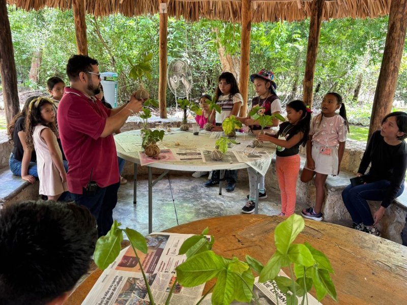 Infancias del sur de Mérida participan en curso de verano ambiental en el Parque Yumtsil