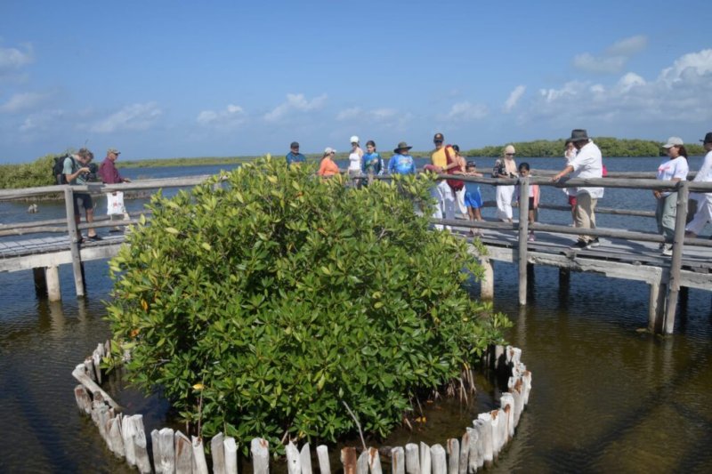 Invita la FPMC a meditar con la naturaleza y restaurar manglares en Punta Sur