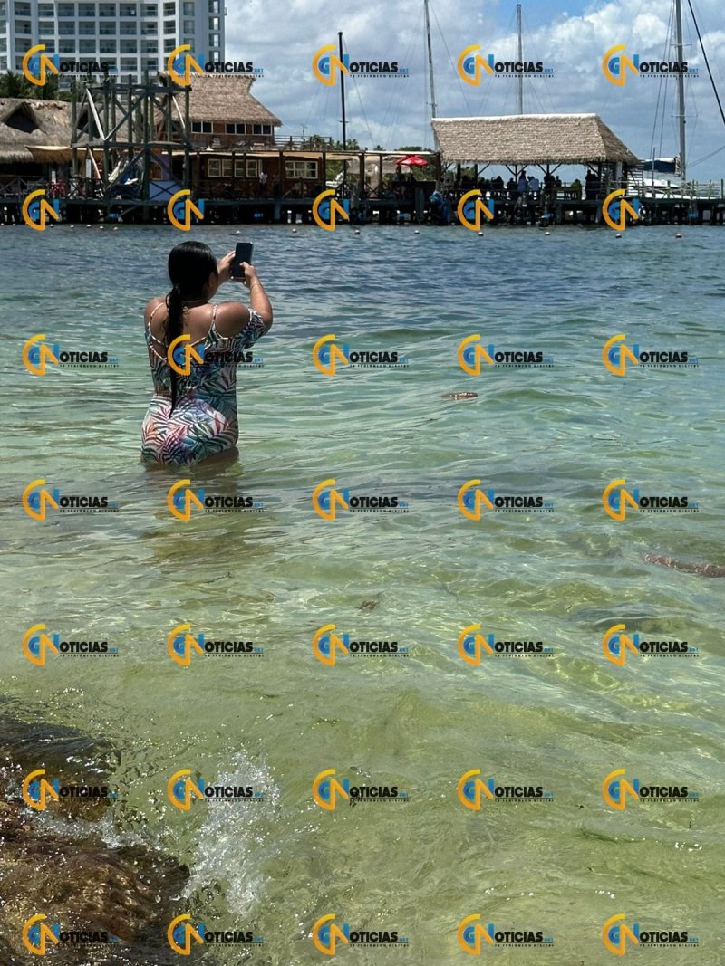 Juguete de playa a la deriva en las costas dé Cancun