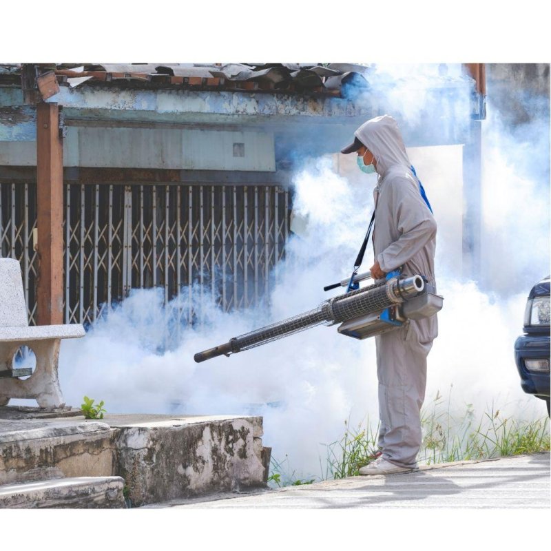 Lucha frontal contra el dengue en Playa del Carmen