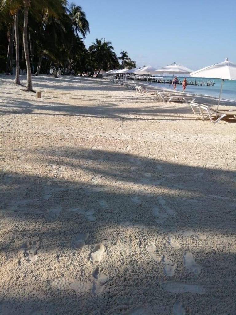 Mantienen en óptimas condiciones playas en Isla Mujeres