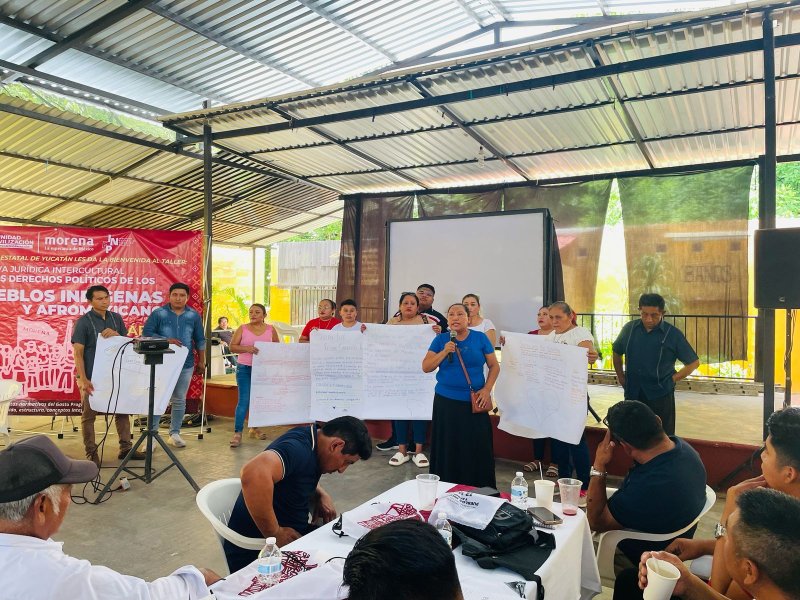 Taller: Perspectiva Jurídica Intercultural de los Derechos Políticos de los Pueblos Indígenas y Afromexicanos