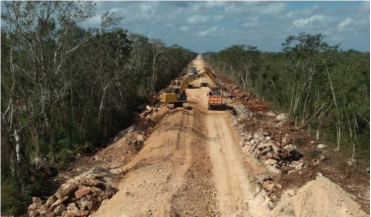 Desmonte de selva en Solidaridad documentado por ambientalistas corresponde al nuevo trazo del Tren Maya
