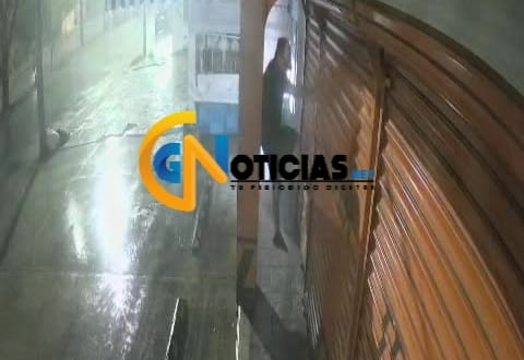Una rata vividora fue captada en el momento justo en el que atraca un comercio ubicado sobre la avenida la luna