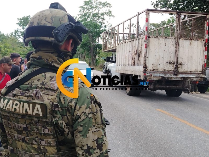 Dos personas fueron rescatadas durante un fuerte despliegue policial en un rancho ubicado sobre la carretera federal Cancún- leona vicario, al parecer sujetos armados huyeron al monte.