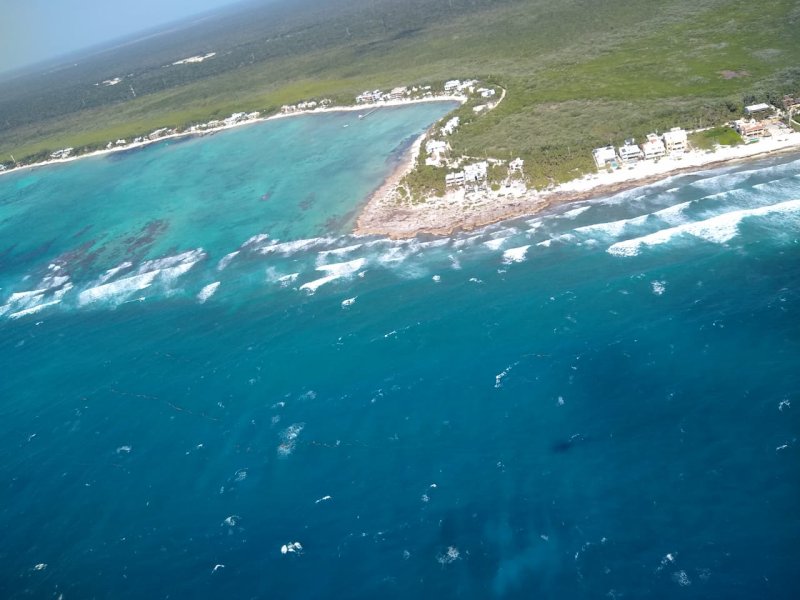 La Secretaría de Marina-Armada de México mantiene acciones para la contención del fenómeno atípico del sargazo en el Estado de Quintana Roo