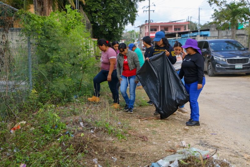 Con limpieza y reforestación, LC se suma a la jornada nacional por la paz y contra las adicciones.