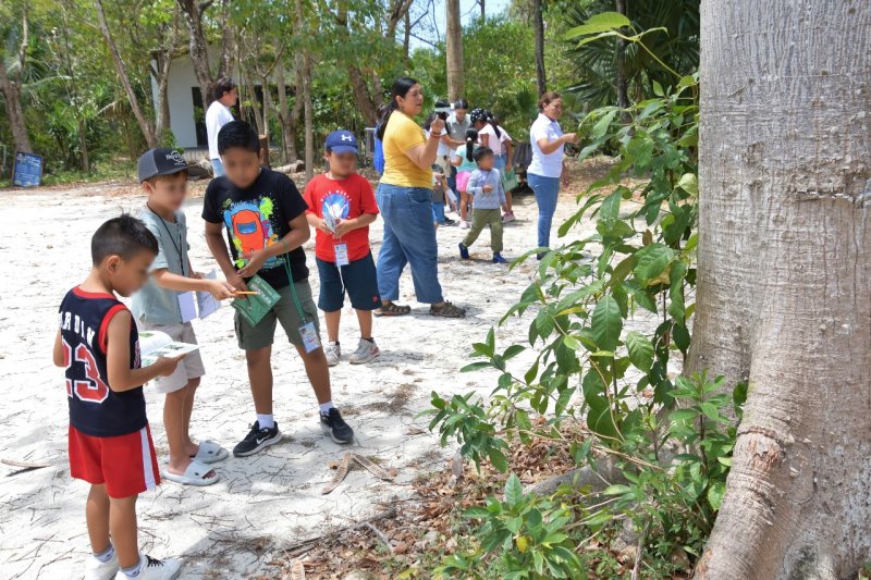 RENACIMIENTO MAYA IMPULSA EL CAMPO CON MECANIZACIÓN, RIEGO E INSEMINACIÓN ARTIFICIAL PARA GANADO