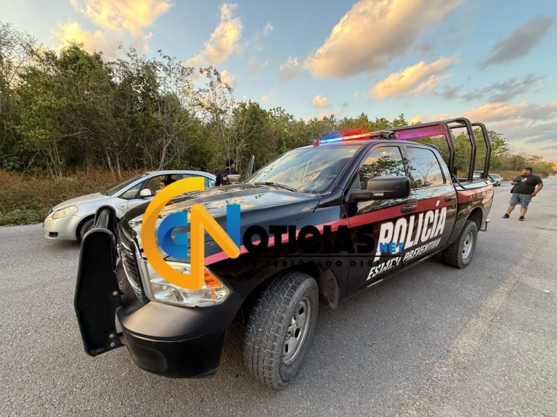 cráneo humano fue encontrado en un área verde del camino que conduce al fraccionamiento Real Valencia de la región 260