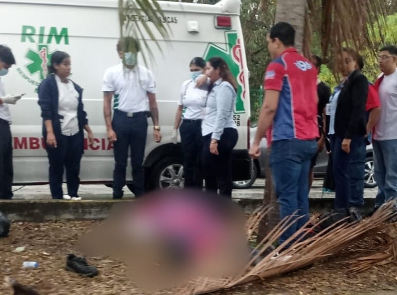 Motociclista muere tras chocar contra palmera en la avenida Nichupté; era estudiante de ingeniería