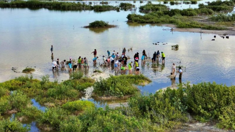 Invita la FPMC a presenciar fenómeno arqueoastronómico en el vestigio maya del Caracol en Punta Sur