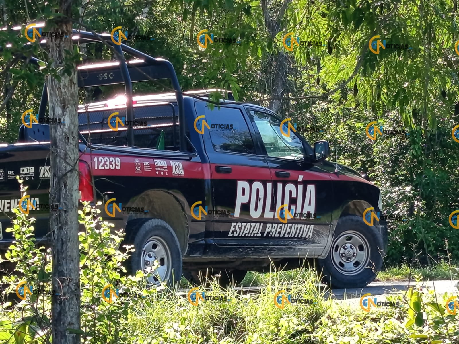 Un trágico accidente se registró la mañana de este martes en la carretera federal 180, autopista Cancún-Kantunilkin