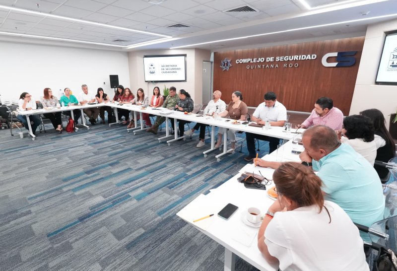 Crea SEGOB e instancias de seguridad ciudadana red institucional para atención y prevención integral de casos de violencia infantil