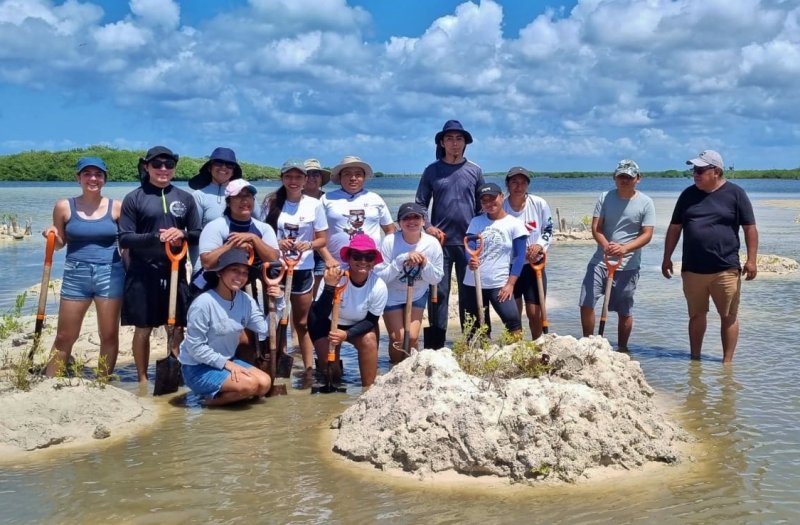 Estudiantes de la UQROO realizan visita de interpretación y restauración del ecosistema de manglar en el Parque Punta Sur