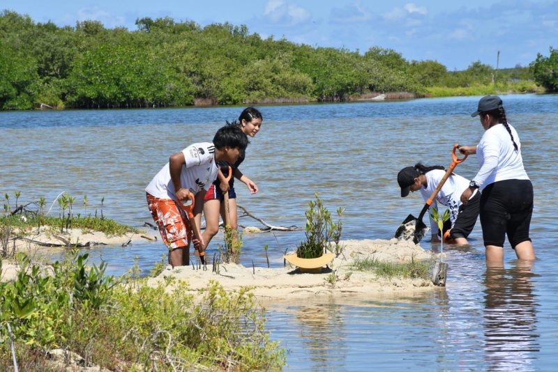 La Fundación de Parques y Museos encabezó una jornada de restauración de manglar con los Jóvenes MAB y los Guardianes del Mar 