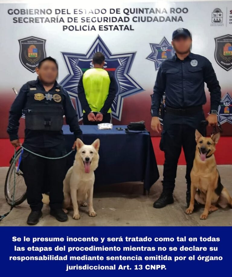 La SSC pone a disposición a J.C.P.R, menor de edad por su probable participación en delitos contra la salud, en Othón P. Blanco