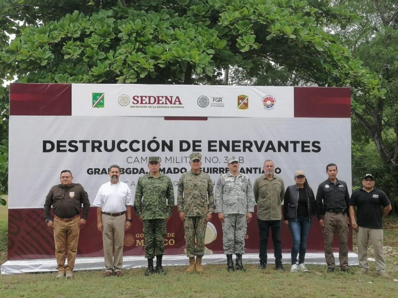 La Secretaría de la Defensa Nacional, informa de las actividades realizadas con motivo del “Programa Nacional de Destrucción de Narcóticos”