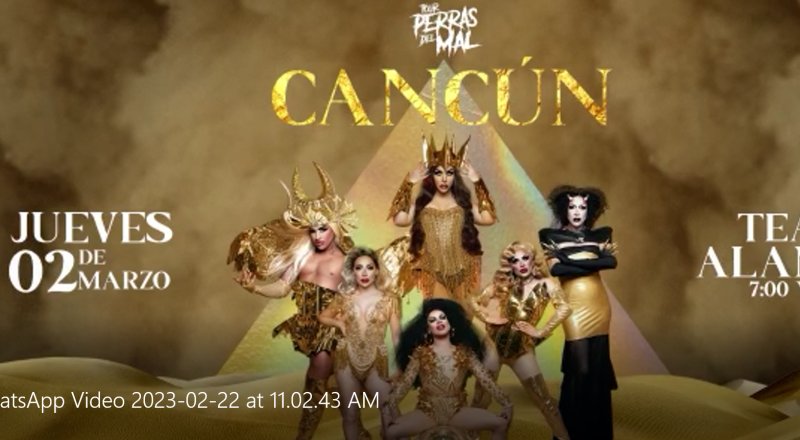 🏳️‍🌈LLEGAN A CANCÚN “LAS PERRAS DEL MAL”🏳️‍🌈