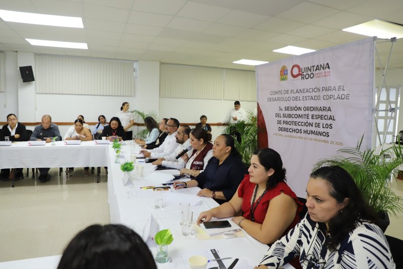 Encabeza SEGOB Tercera Sesión Ordinaria del Subcomité Especial de Protección de los Derechos Humanos