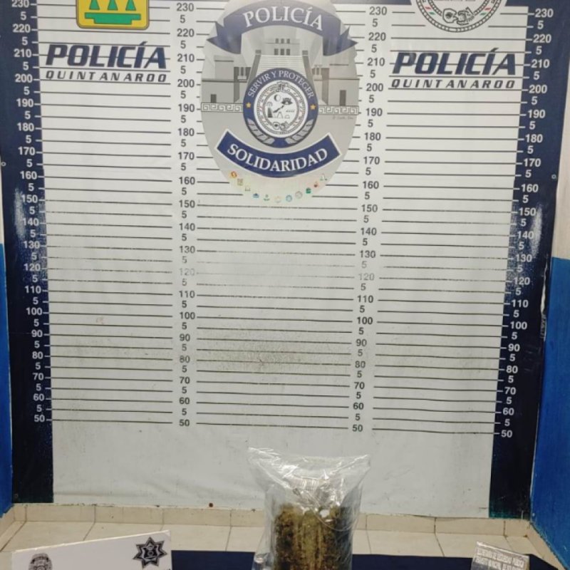 𝗔𝘀𝗲𝗴𝘂𝗿𝗮𝗻 𝗺á𝘀 𝗱𝗲 𝗱𝗼𝘀 𝗸𝗶𝗹𝗼𝘀 𝗱𝗲 𝗺𝗮𝗿𝗶𝗵𝘂𝗮𝗻𝗮 𝗮𝗯𝗮𝗻𝗱𝗼𝗻𝗮𝗱𝗼𝘀 𝗲𝗻 𝗹𝗮 𝘃í𝗮 𝗽ú𝗯𝗹𝗶𝗰𝗮 𝗲𝗻 𝗣𝗹𝗮𝘆𝗮 𝗱𝗲𝗹 𝗖𝗮𝗿𝗺𝗲𝗻