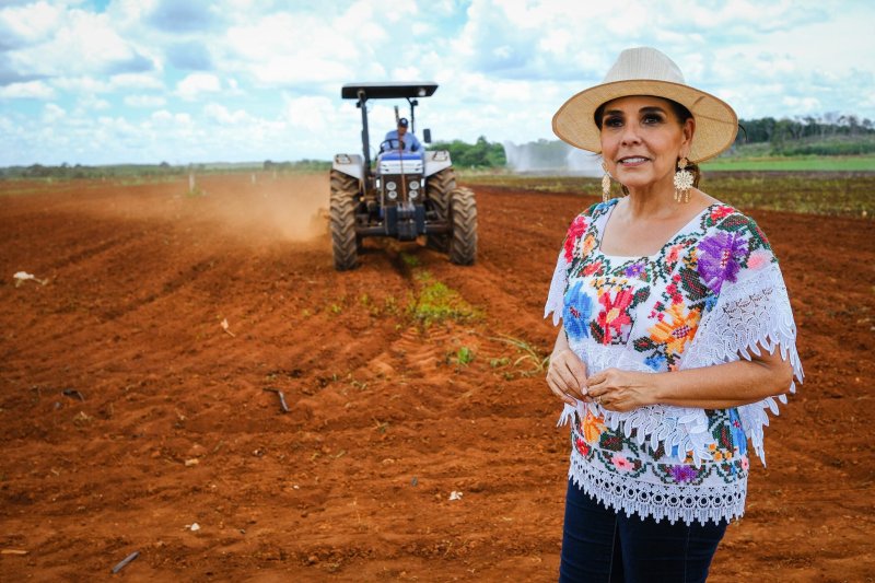 Anuncia Mara Lezama histórico programa de rehabilitación de caminos sacacosechas para fortalecer el campo en Quintana Roo
