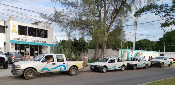 La SESA continúa con las acciones intensivas contra el mosco portador del dengue, zika y chikungunya