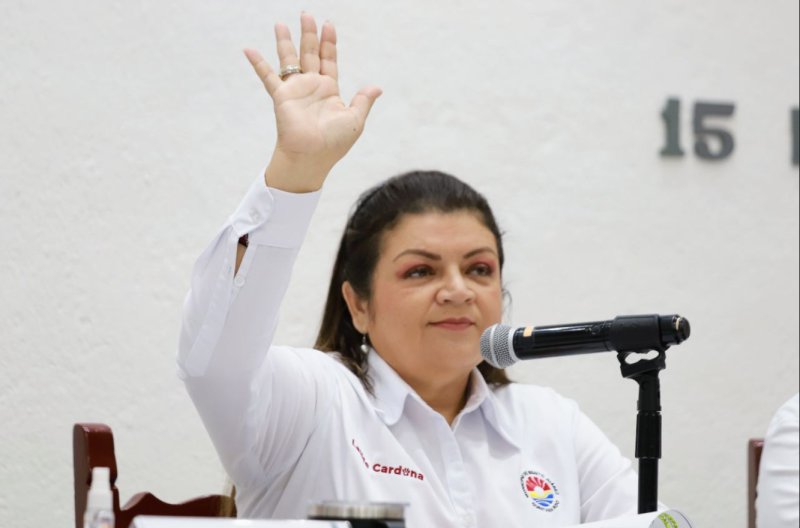 Acusa Lourdes Cardona “mano negra” del Partido Verde en elección de delegados de Morena -￼