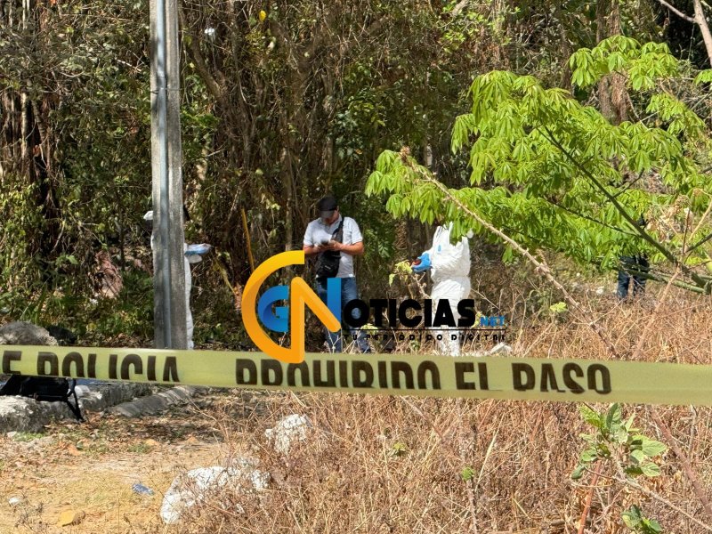 Perrito encuentra osamenta en área verde de la Región 226 en Cancún; autoridades investigan