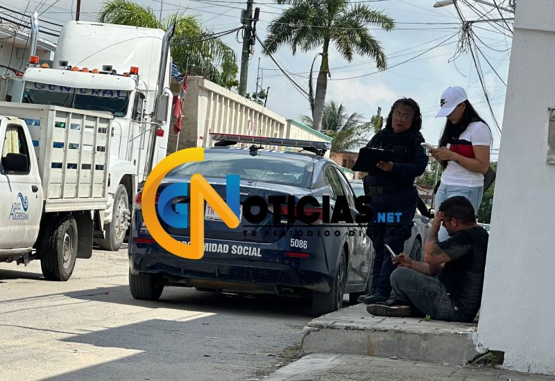 Perrito termina baleado por defender a su humano en Alfredo V Bonfil