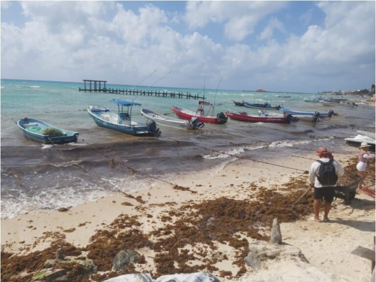 Pescadores de Playa del Carmen venden 500 kilos diarios en Semana Santa