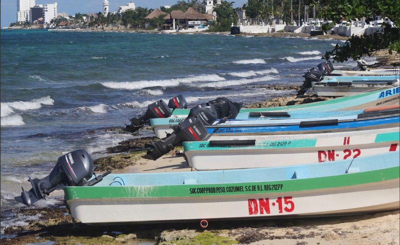 Pescadores ilegales proliferan en la isla de Cozumel