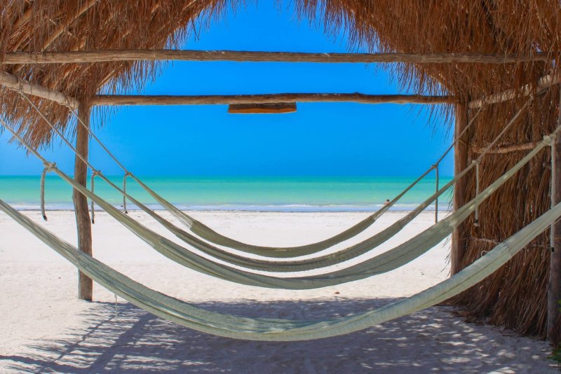 Playas de Holbox libre de Sargazo.