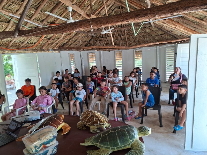 Promueven cuidado de tortugas marinas entre infancias de Yucatán