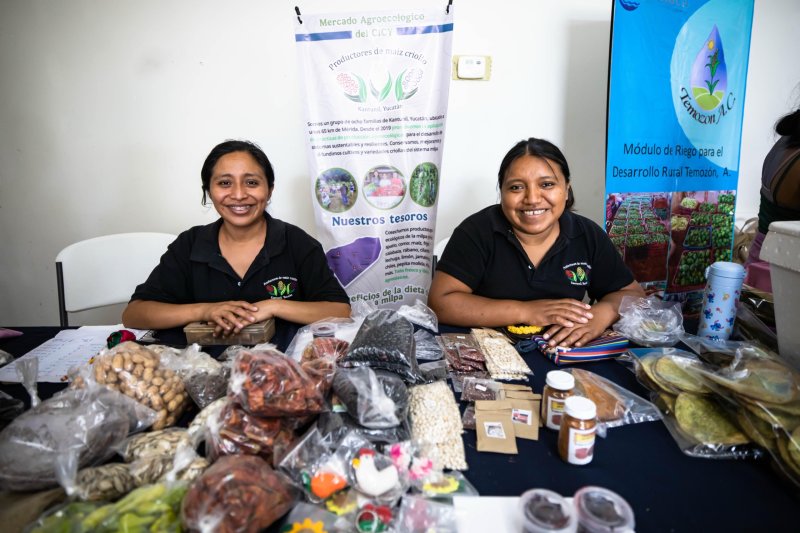 Promueven en Kantunil la milpa maya como herencia viva