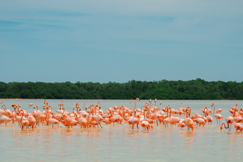 Promueven turismo sustentable en beneficio de comunidades costeras 