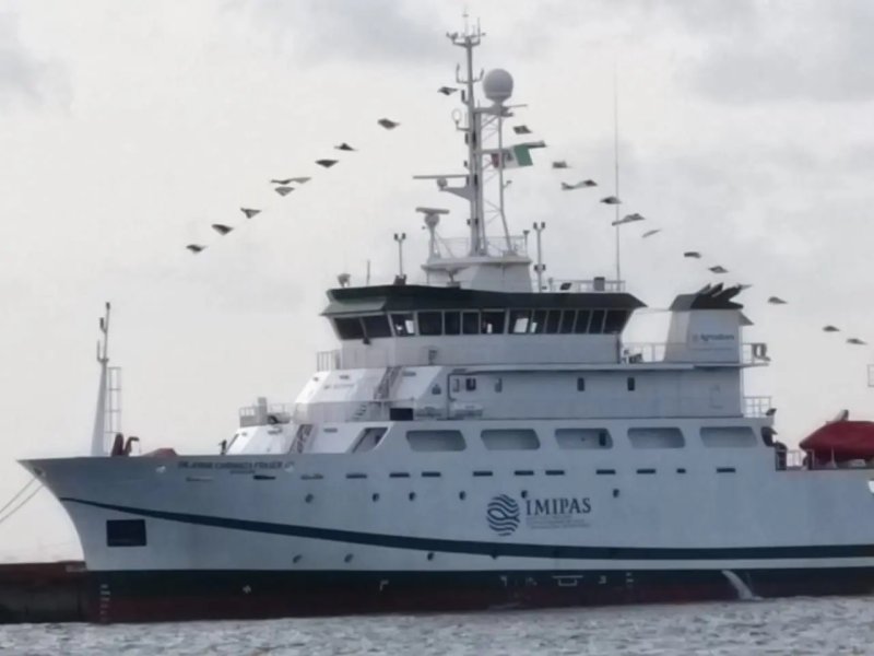 Realizan investigación de alto nivel en Quintana Roo para la atención del sargazo