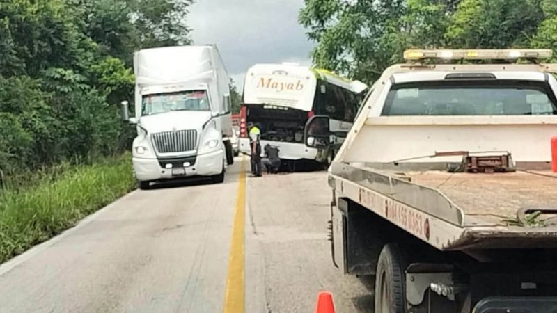 Autobús Mayab sale de la carretera y golpea árbol en José María Morelos