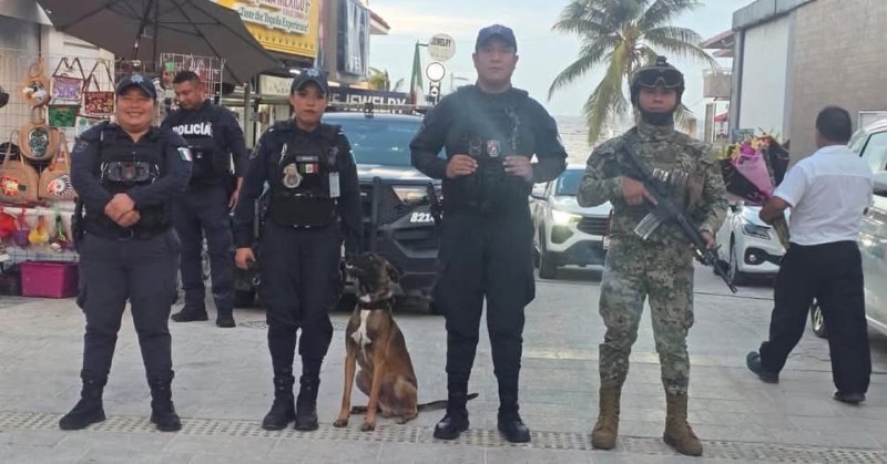 Unidad K9 refuerza vigilancia en Quintana Roo